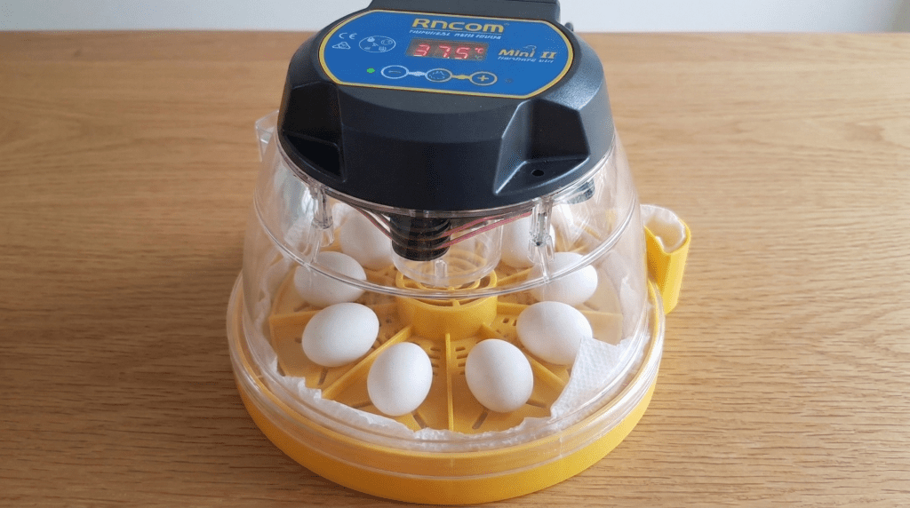 Rcom advance mini II incubator with eggs 