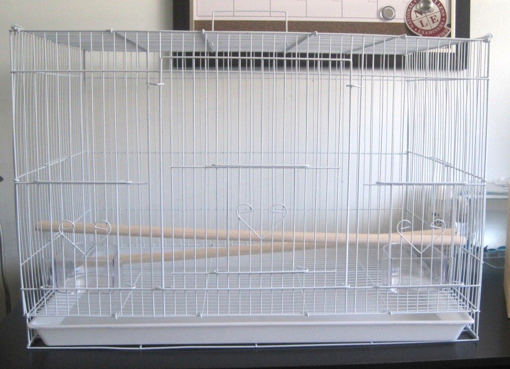 You are currently viewing Best Budgie Cage for Breeding Budgies